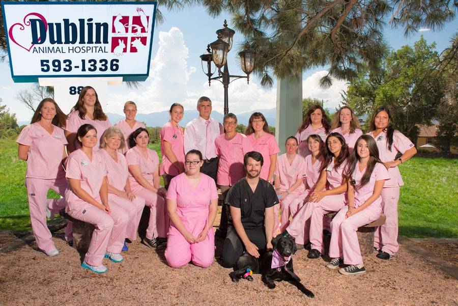 VCA Dublin Animal Hospital | 888 Dublin Blvd, Colorado Springs, CO 80918, USA | Phone: (719) 593-1336