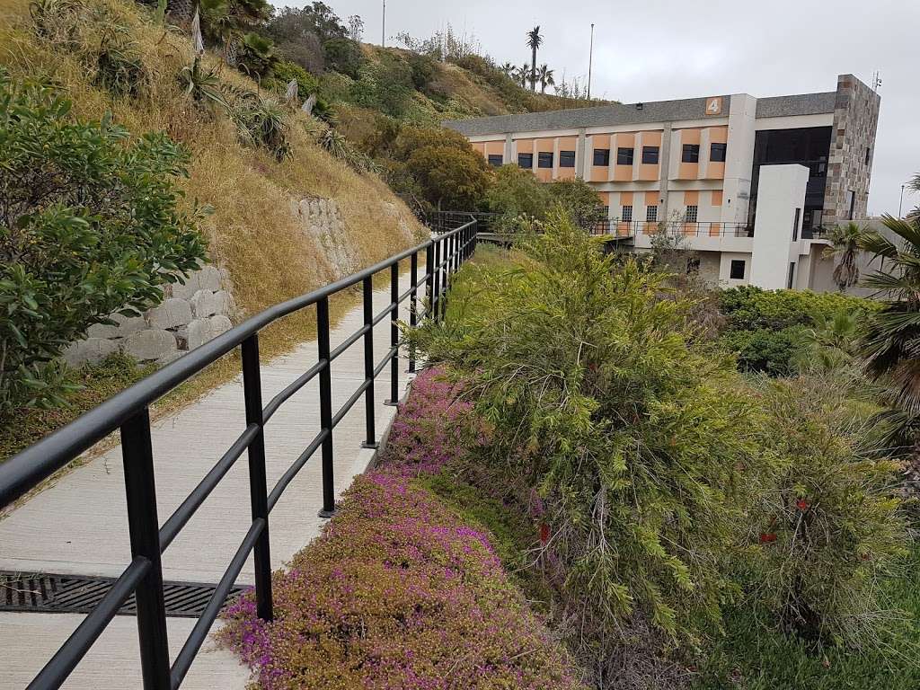 El Colegio de la Frontera Norte | Carretera Escenica Tijuana-Ensenada Toll Boot Escenica Tijuana-Ensenada Sn San Antonio del Mar, 22560 Tijuana, B.C., Mexico | Phone: 664 631 6300