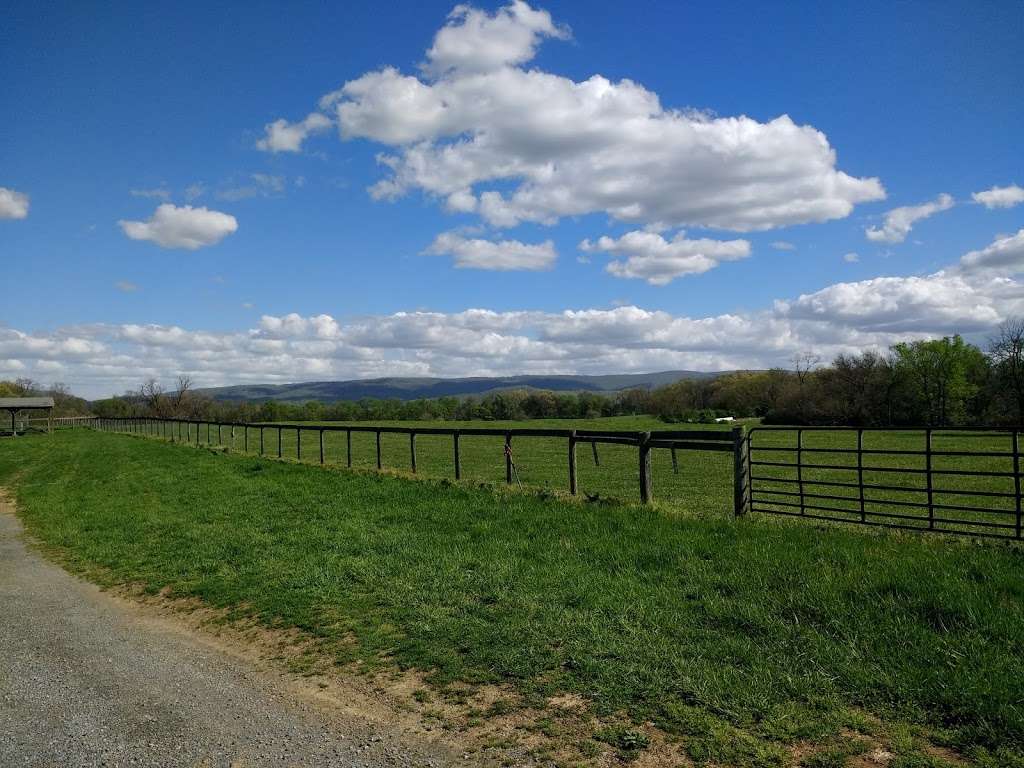 State Arboretum of Virginia 400 Blandy Farm Ln, Boyce, VA 22620, USA