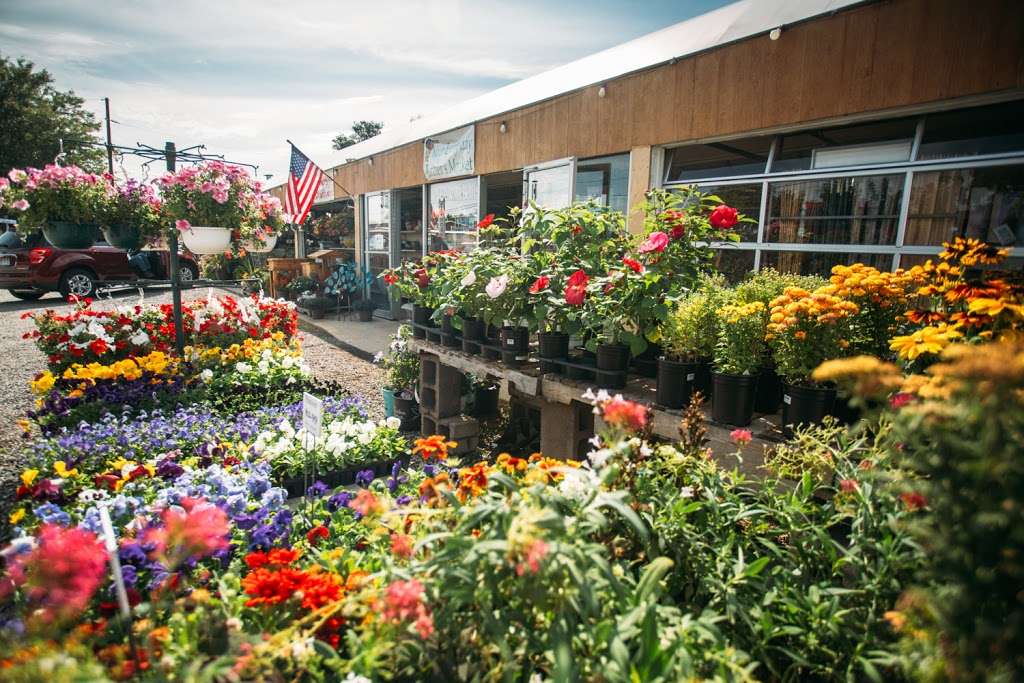 Youngs Market & Garden Center | 9400 W 44th Ave, Wheat Ridge, CO 80033 | Phone: (303) 422-8408