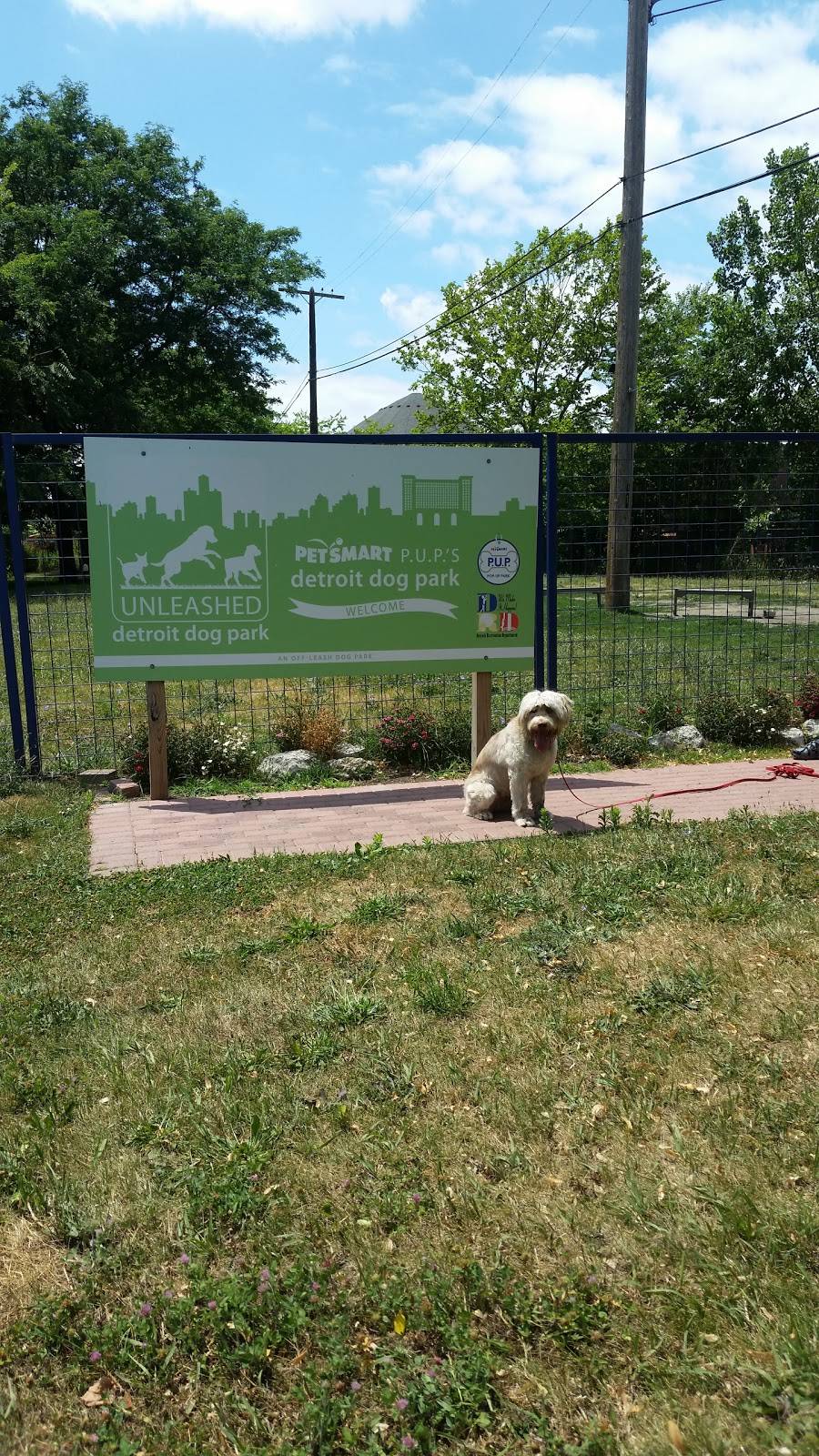 Detroit Dog Park | 2699 Rose St, Detroit, MI 48216, USA | Phone: (313) 224-1129