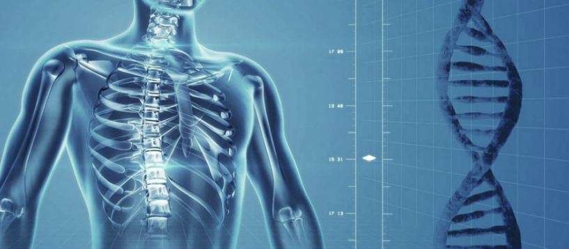Dr. Donovan May, DC | 4010 Fairmont Pkwy #110, Pasadena, TX 77504, USA | Phone: (281) 744-1780