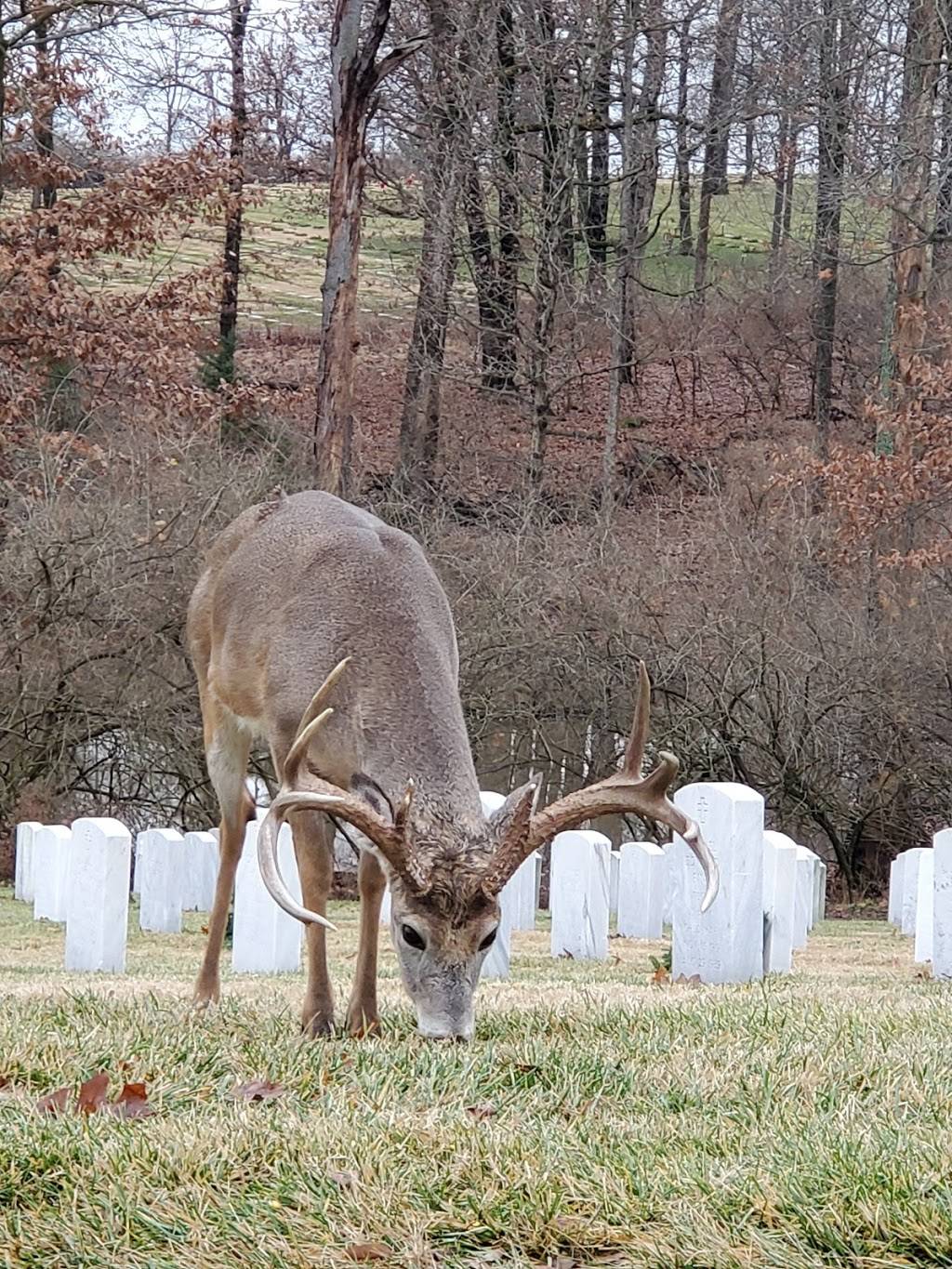 Jefferson Barracks National Cemetery | 2900 Sheridan Rd, St. Louis, MO 63125, USA | Phone: (314) 845-8320