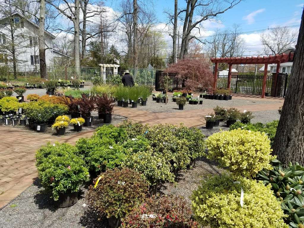 Baumley Nursery & Landscaping of Princeton | 4339 NJ-27, Princeton, NJ 08540 | Phone: (609) 924-6767