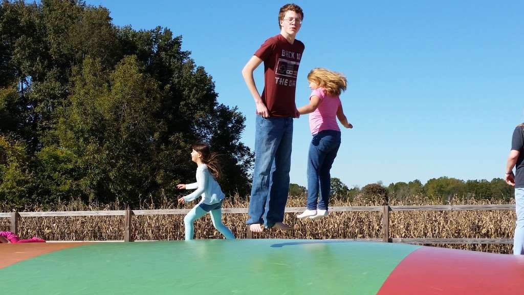 Get Lost Corn Maze. | 20935 NC-73, Albemarle, NC 28001, USA | Phone: (704) 791-6950