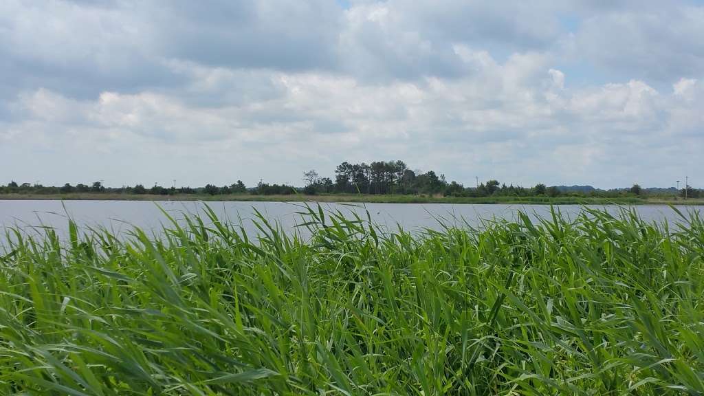 Prime Hook National Wildlife Refuge Admin Building And Visitor C | 11978 Turkle Pond Rd, Milton, DE 19968 | Phone: (302) 684-8419