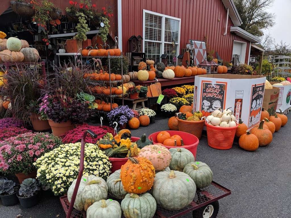 Fisher’s Roadside Market in 859 Strasburg Rd, Paradise, PA 17562, USA