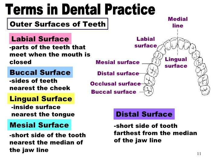 Dr. Craig S. Wada, DDS | 6000 Fairway Dr #9, Rocklin, CA 95677, USA | Phone: (916) 630-9048