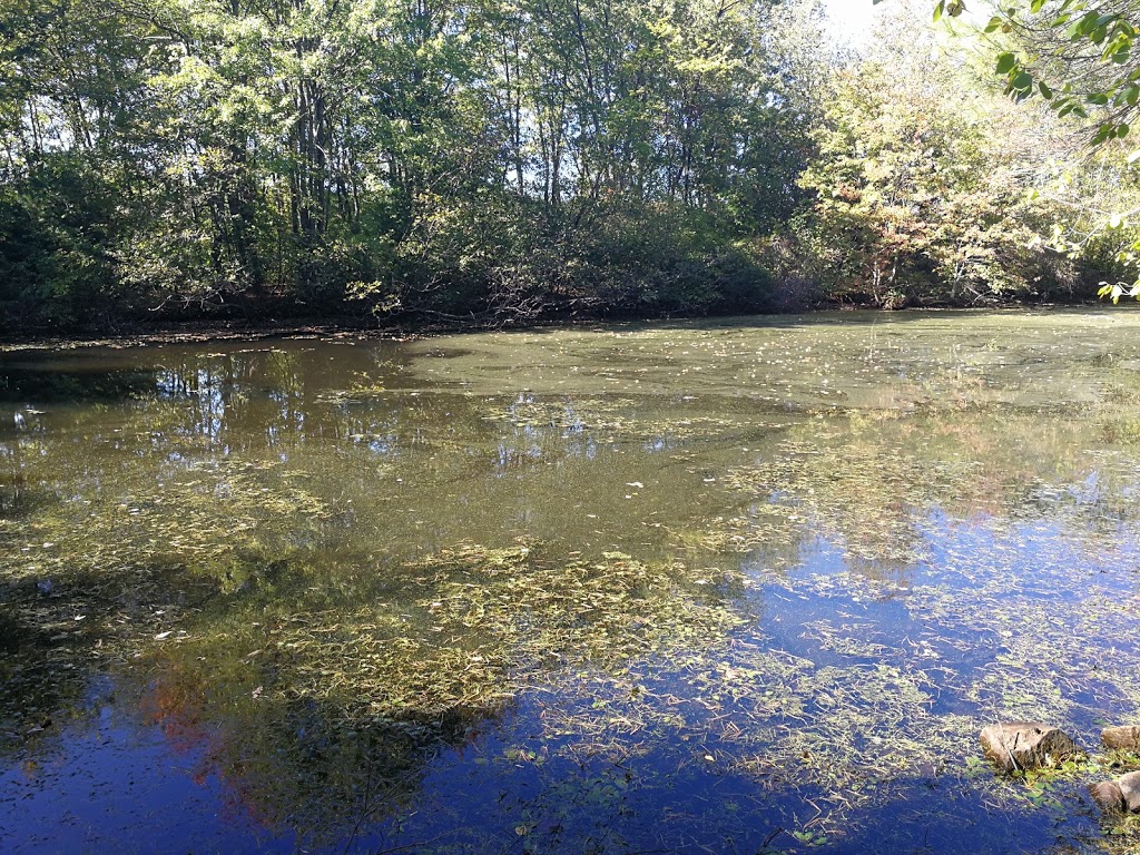 The Tony Anniballi Memorial Park | Natick, MA 01760, USA