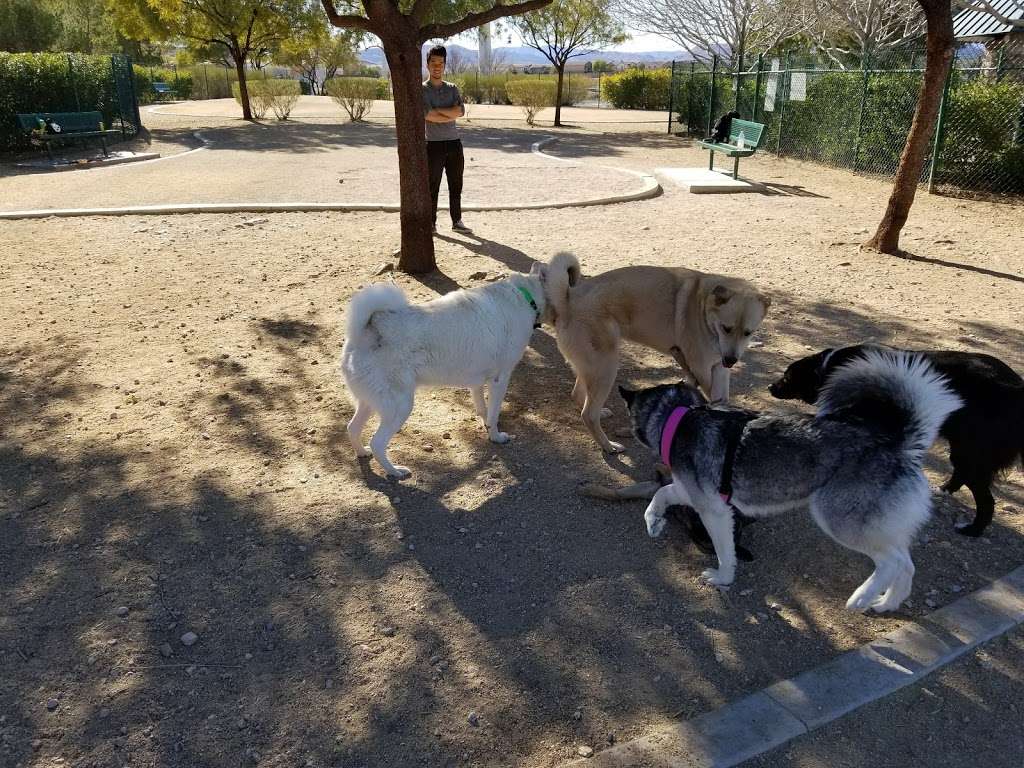 Southern Highlands Dog Park | 10500 S Jones Blvd, Las Vegas, NV 89141, USA | Phone: (702) 361-6640