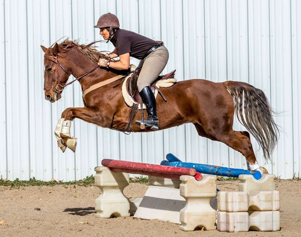 Medicine Horse Program | 8778 Arapahoe Rd, Boulder, CO 80303, USA | Phone: (720) 406-7630