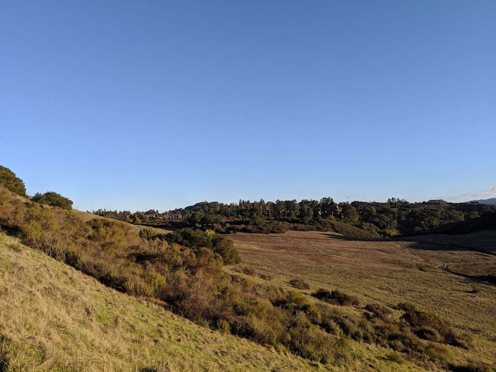 Sunset Trailhead, Edgewood Park | 599-501 Robertson Way, Redwood City, CA 94062, USA