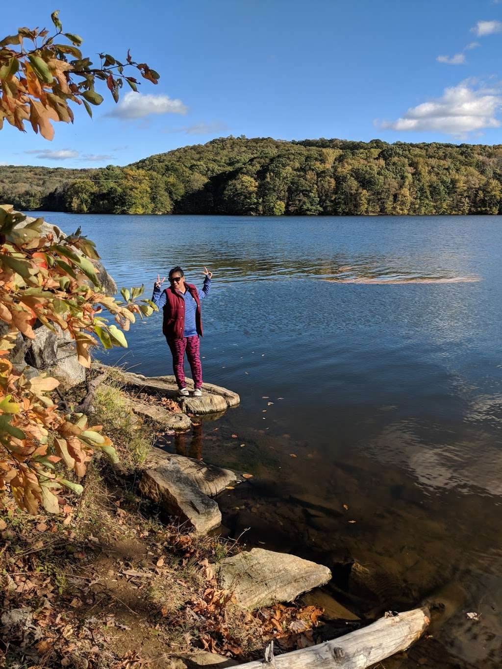 NW Corner of Croton Falls Causeway on the Rocks | Carmel Hamlet, NY 10512, USA