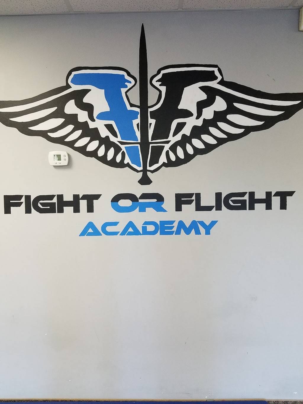 Fight or Flight Academy | 7355 Washington Ave S, Edina, MN 55439 | Phone: (952) 522-8111