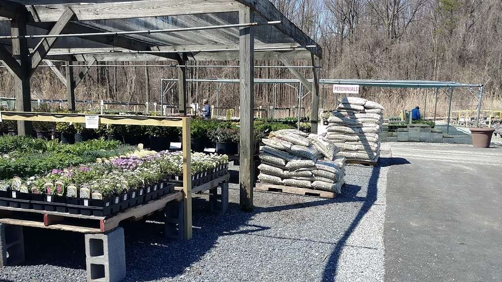 Meadows Farms Nurseries & Landscaping | 15930 Old Columbia Pike, Burtonsville, MD 20866 | Phone: (301) 384-3730