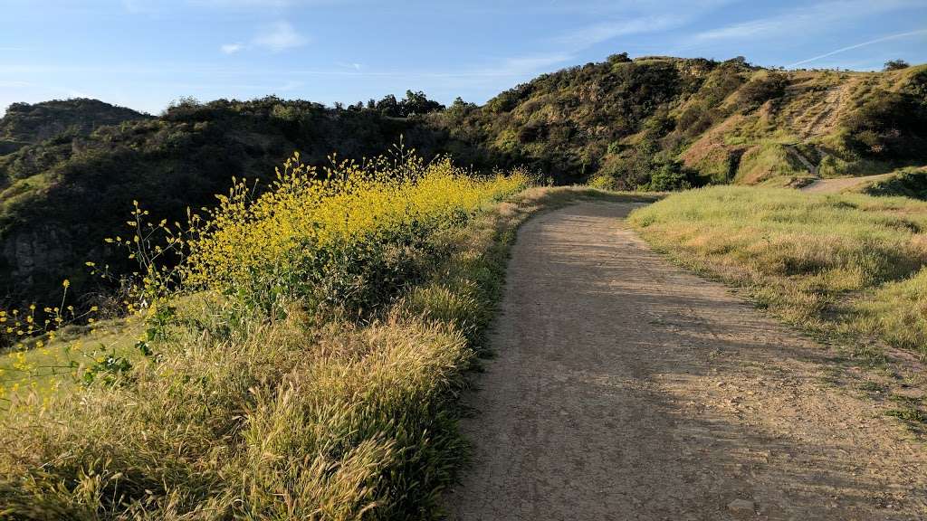 Canyonback Trail | Los Angeles, CA 90049, USA