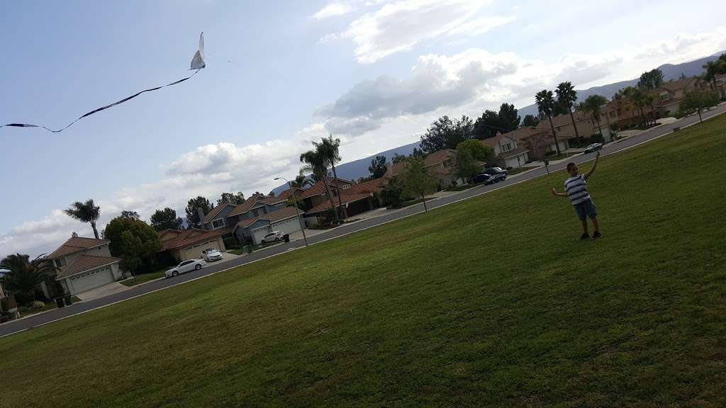 California Oaks + Morning Dove | Murrieta, CA 92562, USA