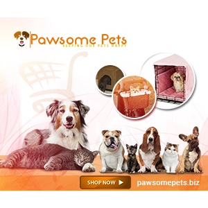 Pawsome Pets | 19 Jasmine Dr, Bear, DE 19701, USA | Phone: (302) 449-4179