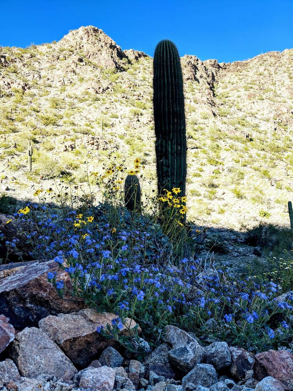Telegraph Pass Trailhead | 14251 S Desert Foothills Pkwy, Phoenix, AZ 85048, USA