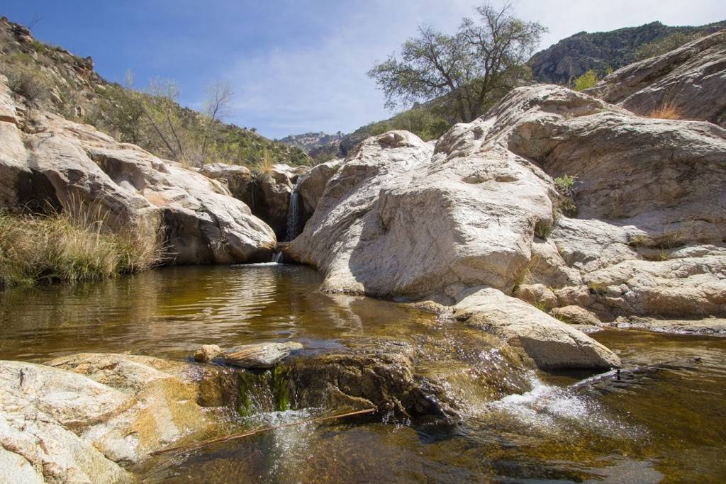 Catalina State Park | 11570 N Oracle Rd, Tucson, AZ 85737, USA | Phone: (520) 628-5798