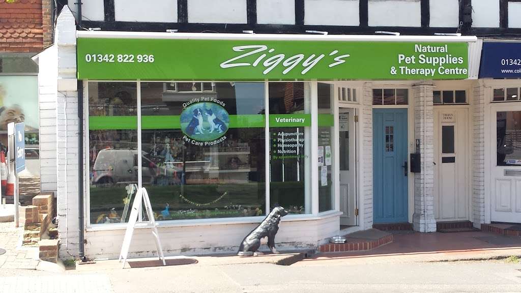 Ziggys Pet Supplies | Oak Trees, Lewes Rd, Forest Row RH18 5EP, UK | Phone: 01342 822936