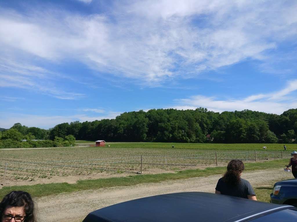 Farm strawberries pickup | 519 US-206, Newton, NJ 07860, USA