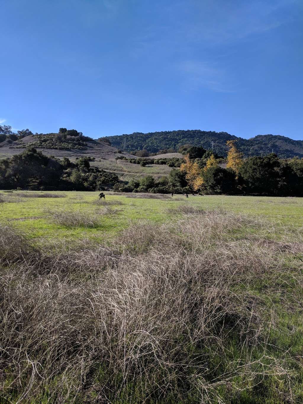 The Forum at Rancho San Antonio | 23500 Cristo Rey Dr, Cupertino, CA 95014, USA | Phone: (650) 265-2637