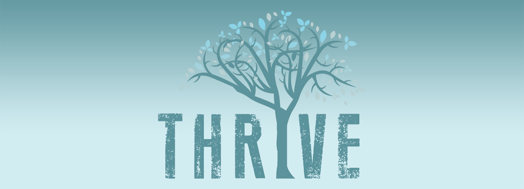 Spa Thrive | 43 Lowell Rd, Hudson, NH 03051, USA | Phone: (603) 703-9253