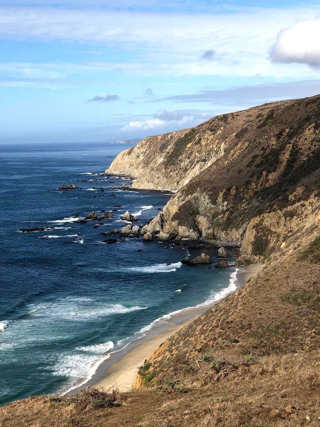 Elk Reserve | Tomales Point Trail, Inverness, CA 94937, USA