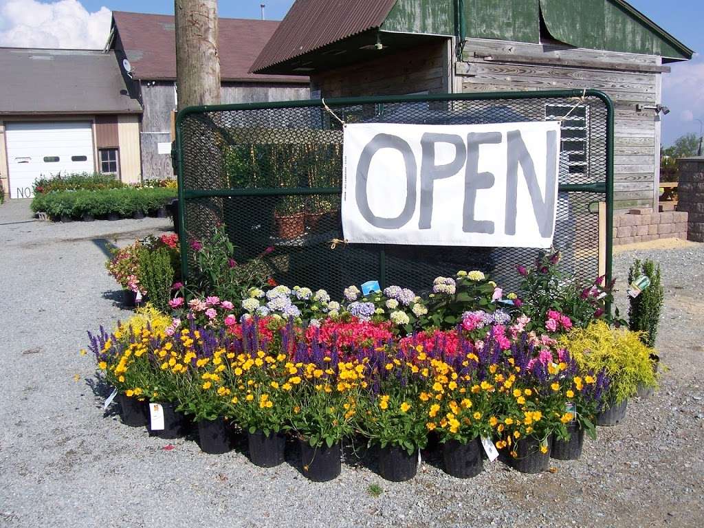 Route 10 Garden Center | 430 Limestone Rd, Oxford, PA 19363 | Phone: (610) 467-1060