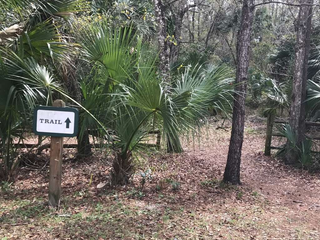 Silver Springs Connector Trail | 3199 NE Co Rd 315, Fort McCoy, FL 32134, USA