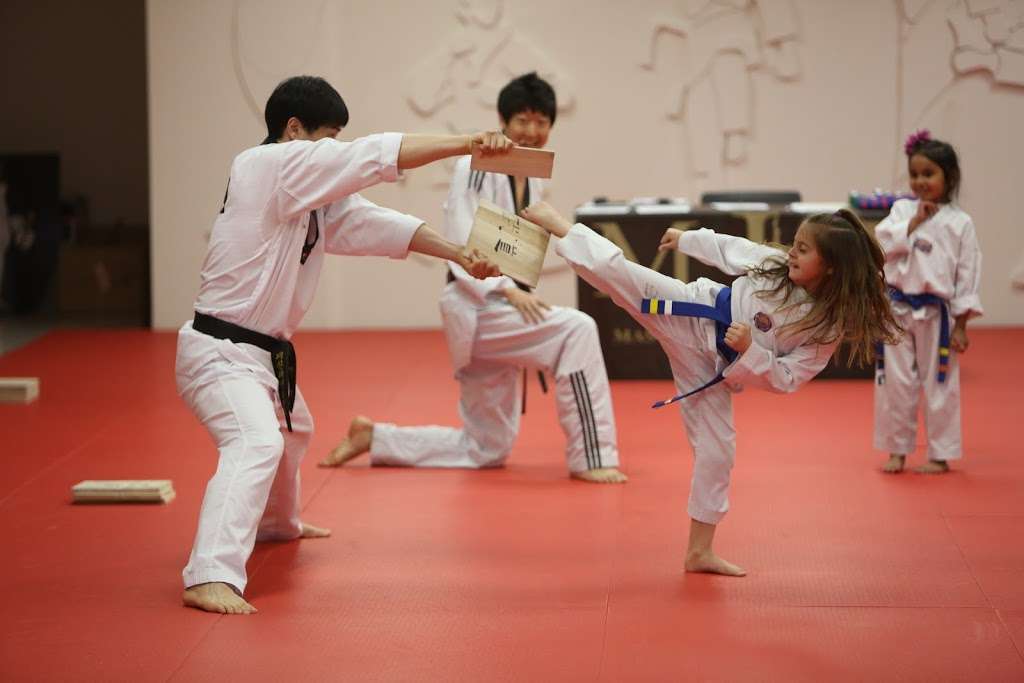 Master Ju’s World Class Tae Kwon Do & Family Martial Arts | 380 Egg Harbor Rd, Sewell, NJ 08080, USA | Phone: (856) 582-0300