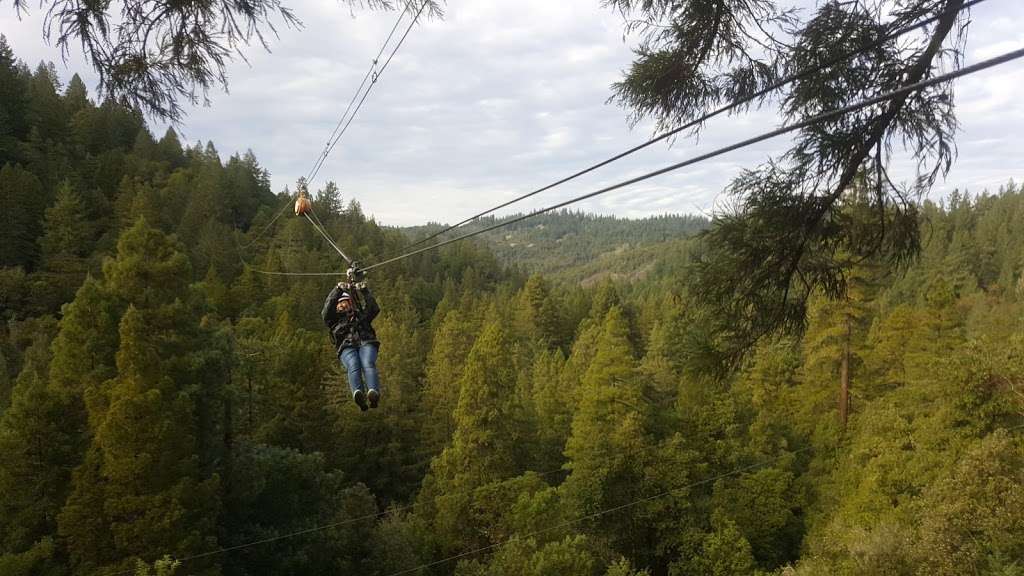 Sonoma Canopy Tours | 6250 Bohemian Hwy, Occidental, CA 95465, USA | Phone: (888) 494-7868