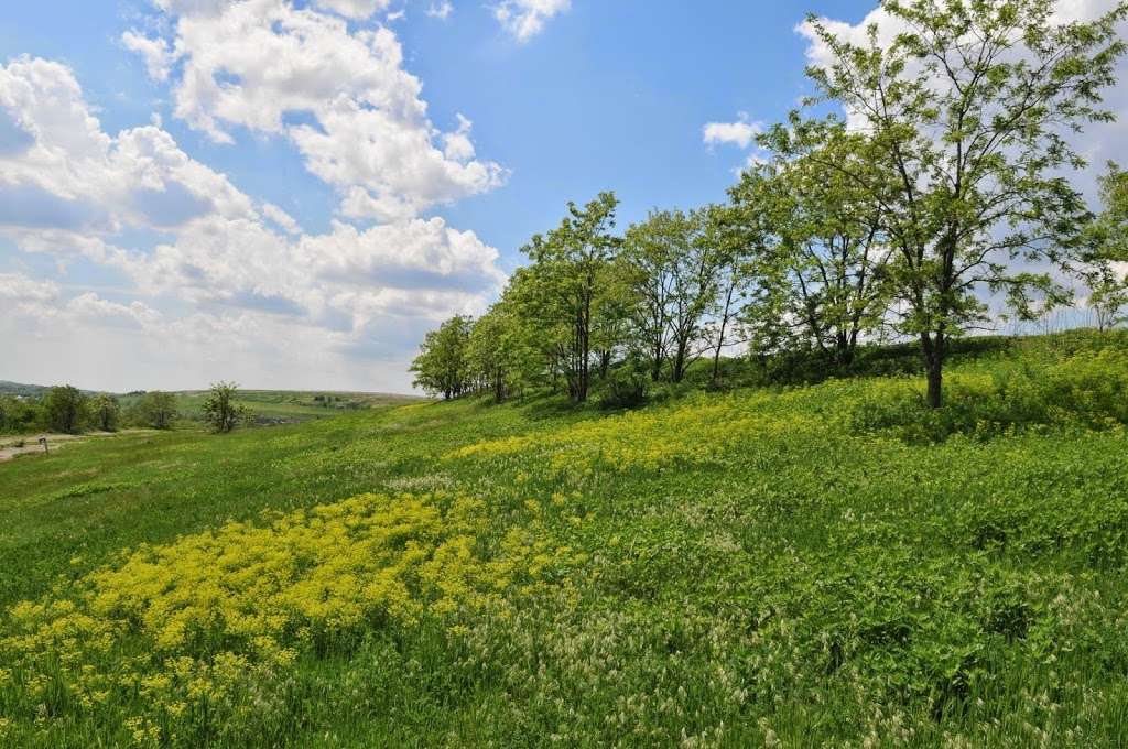 Freshkills Park | Staten Island, NY 10314, USA | Phone: (212) 602-5374