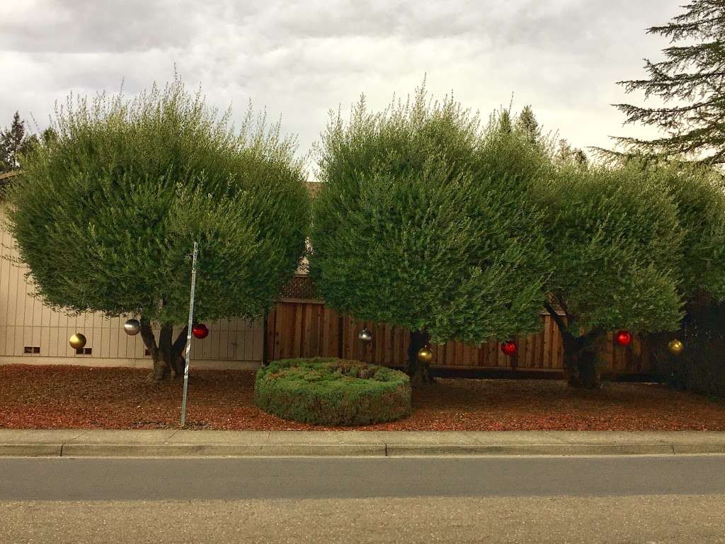 Fairway Dr & Holly Ave | Rohnert Park, CA 94928, USA