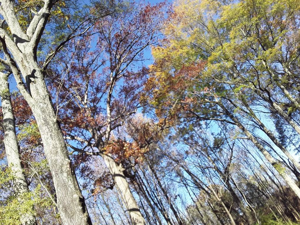 Wolf River Greenway - Epping Way | 2630 Epping Way Dr, Memphis, TN 38128, USA | Phone: (901) 452-6500