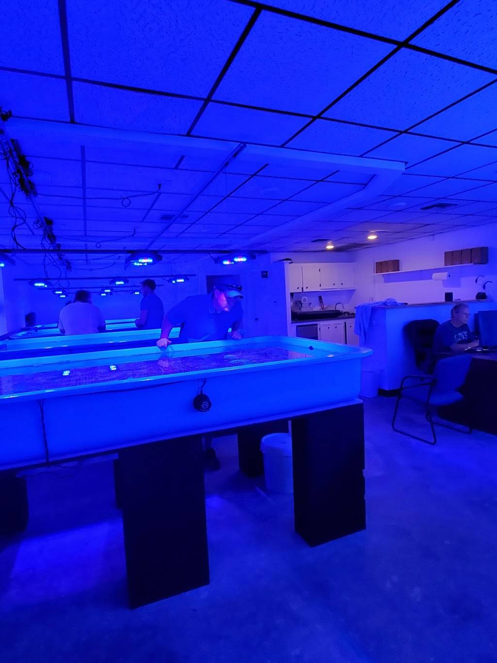 Austin Aqua Farms | 8711 Burnet Rd, Austin, TX 78757 | Phone: (512) 284-8783