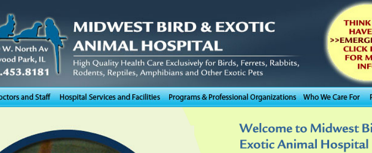 Midwest Bird & Exotic Animal Hospital | 7510 W North Ave, Elmwood Park, IL 60707, USA | Phone: (708) 457-7151