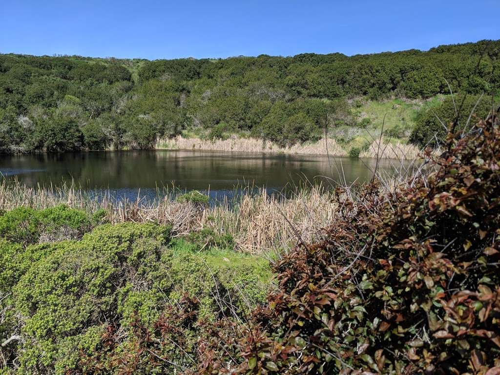 Campbell Cove Beach | Salmon Creek, Jenner, CA 95450, USA