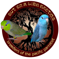 Out on a Limb Exotics | 1025 N Ventura Ave, Oak View, CA 93022, USA | Phone: (805) 500-5314