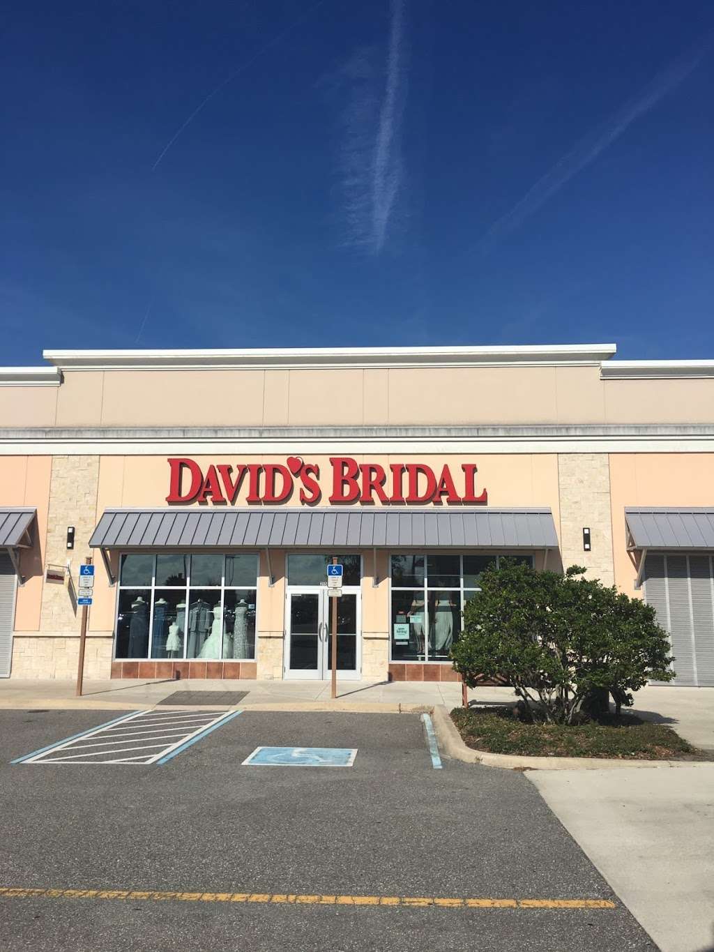 Davids Bridal | 5515 S Williamson Blvd Suite 215, Port Orange, FL 32128, USA | Phone: (386) 492-1332