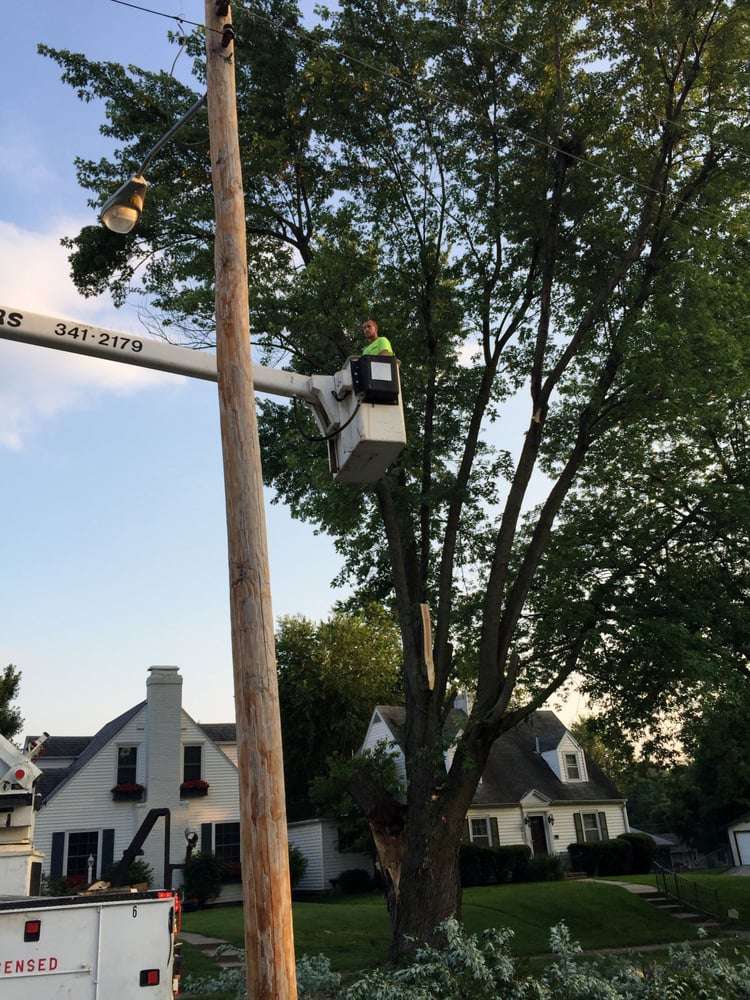 Myers tree service. St. Joseph, MO | 903 N 1st St, Clarksdale, MO 64430, USA | Phone: (816) 341-2179