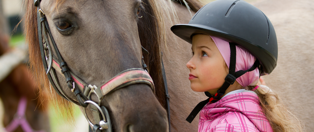 New England Equine Pratice | 2933 NY-22, Patterson, NY 12563, USA | Phone: (845) 878-7500