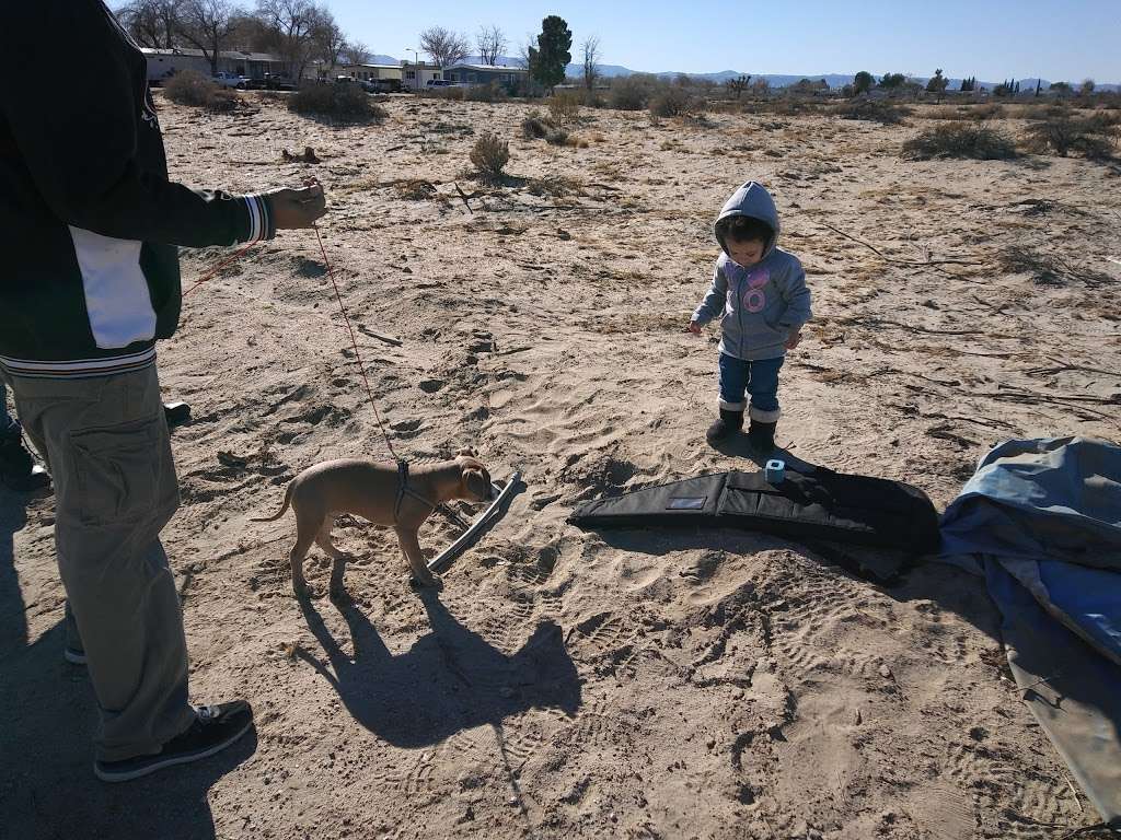 Desert Paradise Mobile Home Park | 45541 30th St E, Lancaster, CA 93535, USA