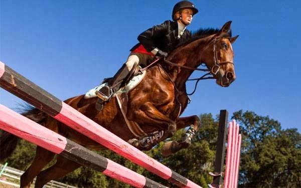 Denver Equestrians Riding School | 5200 W Coal Mine Ave, Littleton, CO 80123, USA | Phone: (303) 973-0077