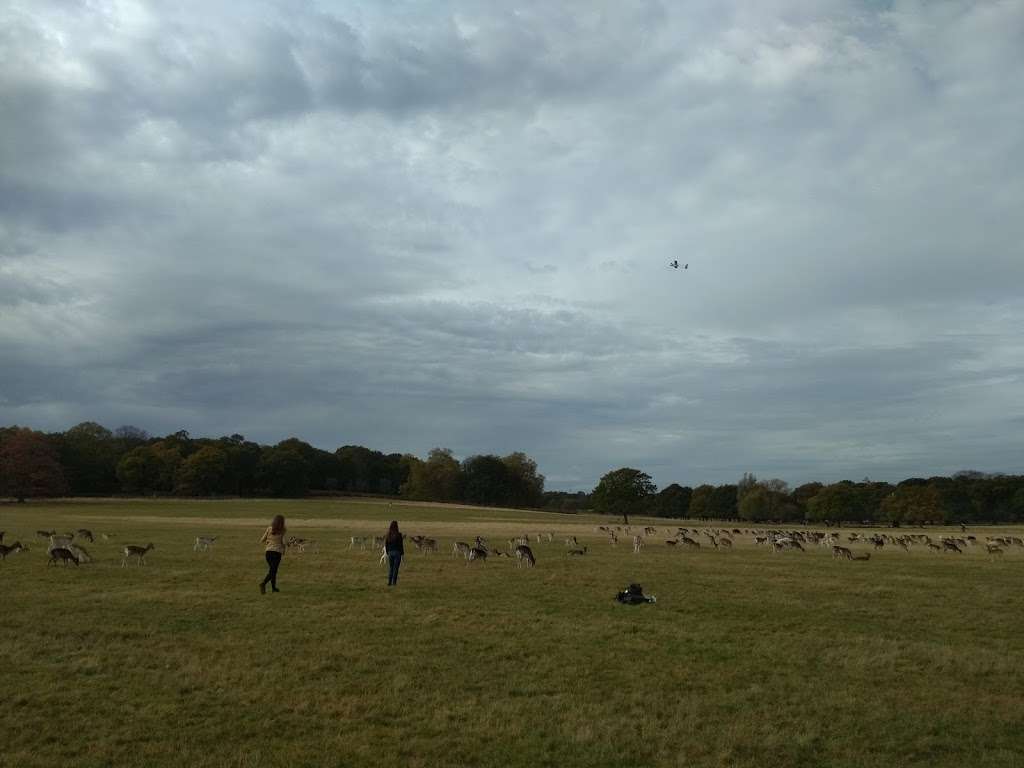 Richmond Park Flying Field | Richmond TW10 5HR, UK