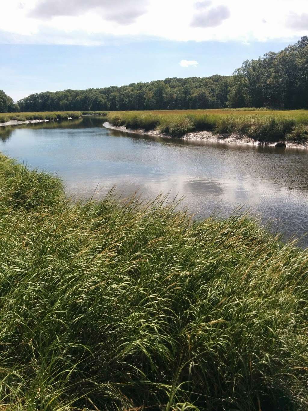 William Forward Wildlife Management Area | Rowley, MA 01969