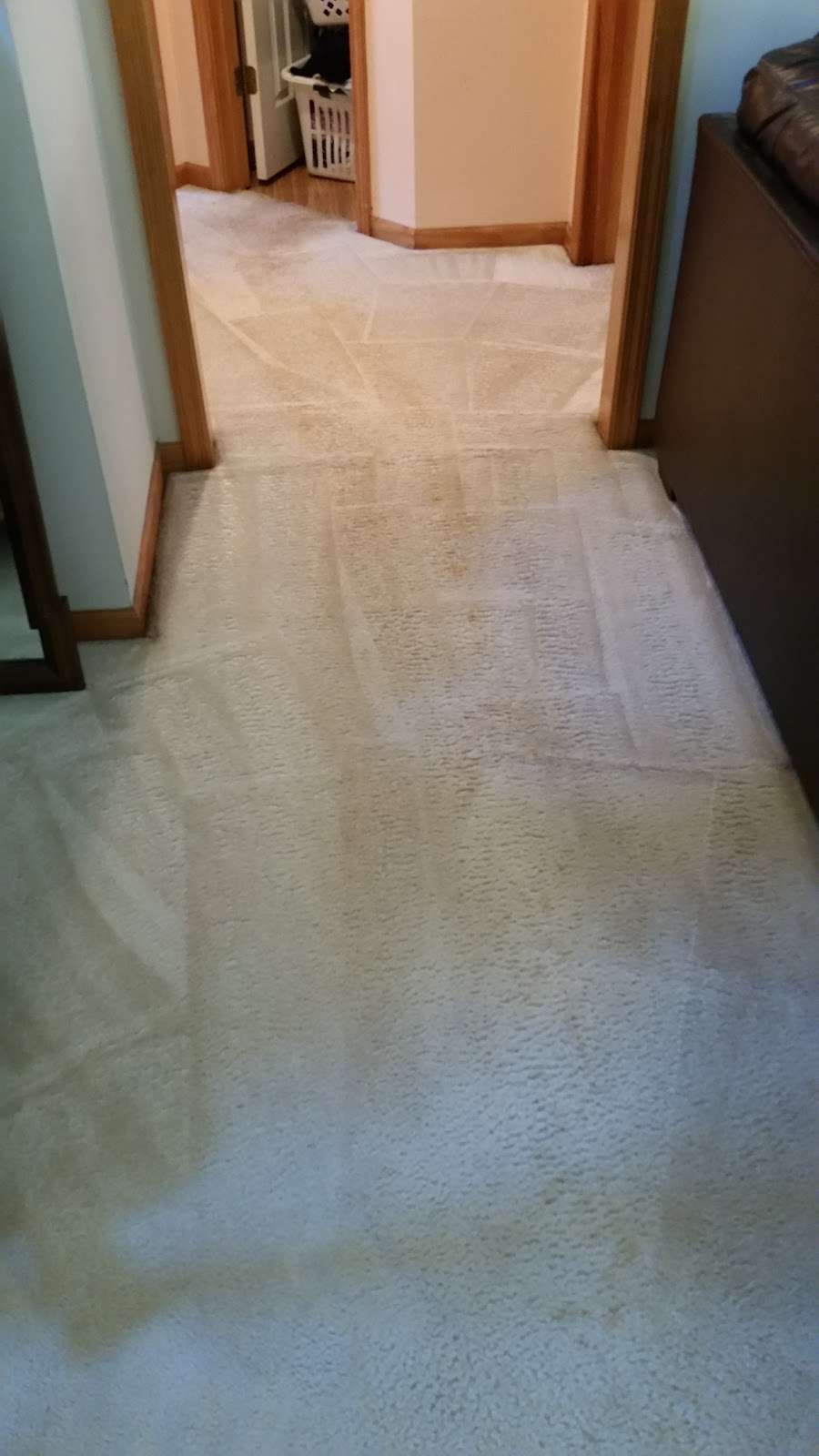 JTs Carpet Cleaning | 2825 N 110 Terrace, Kansas City, KS 66109, USA | Phone: (913) 721-3515