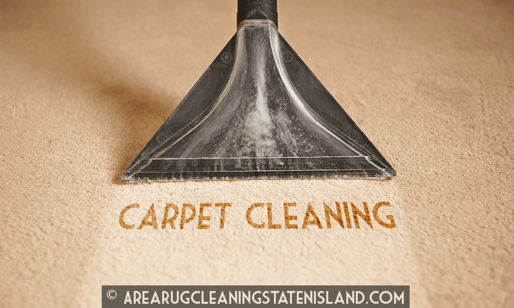 Area Rug Cleaning Staten Island | 408 Forest Ave, Staten Island, NY 10301, USA | Phone: (888) 552-2891