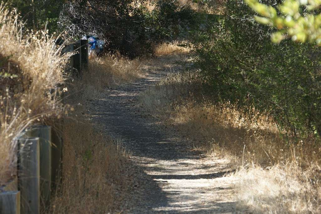 Hyde Park Trail Lower Trailhead | 205 Chesham Ave, San Carlos, CA 94070